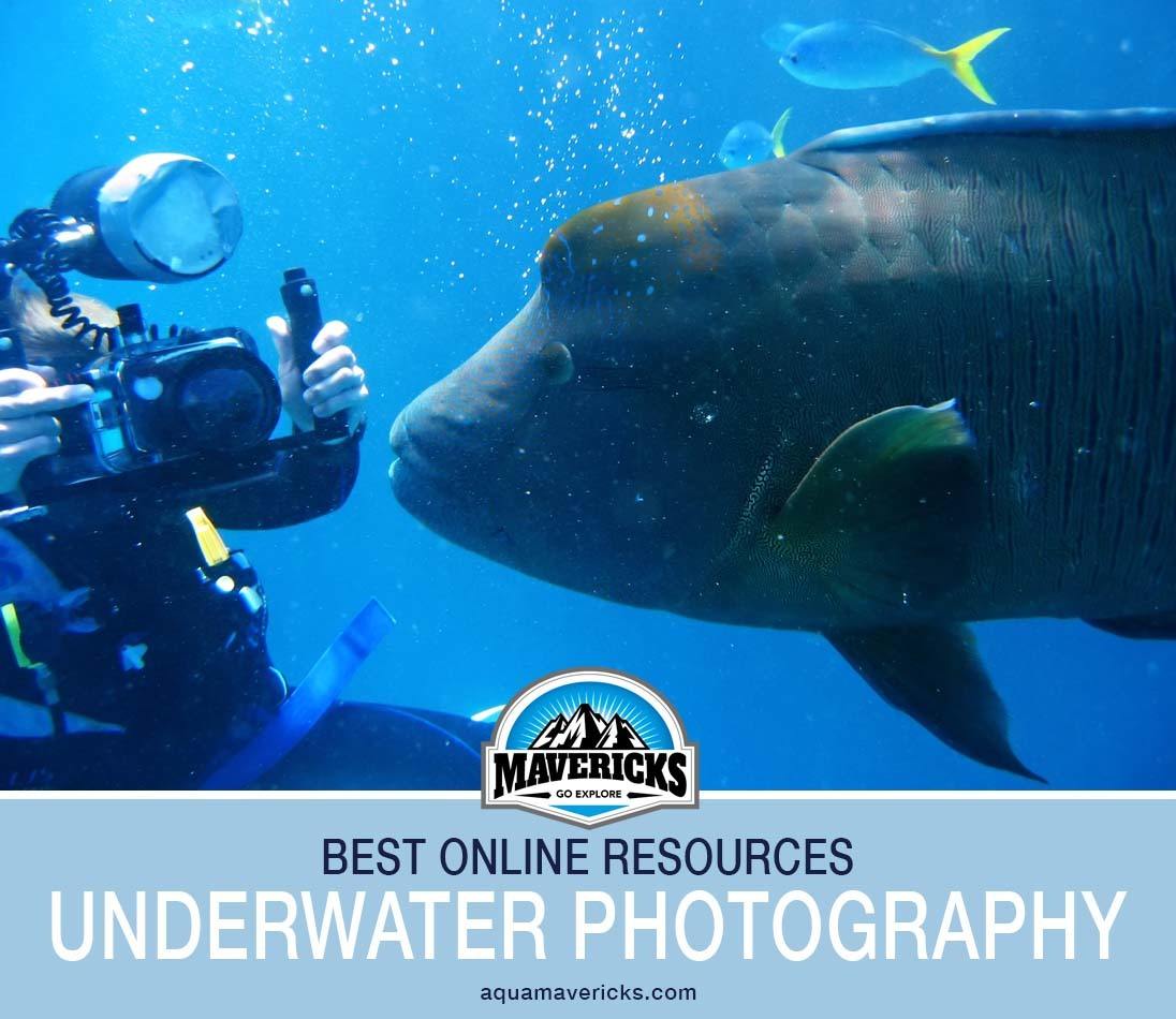 Best underwater photography sites