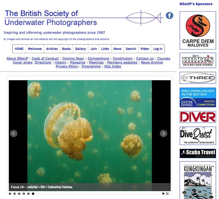 British Society of Underwater Photographers