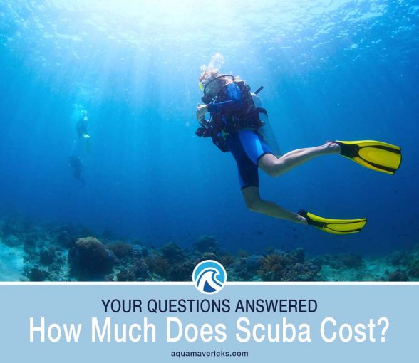 What does scuba diving cost