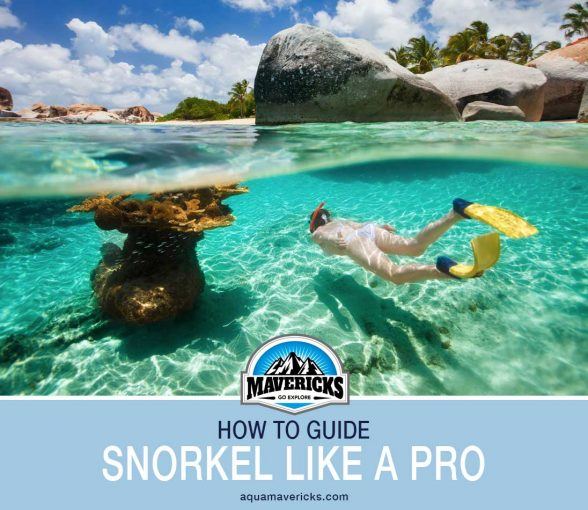 How to snorkel properly like a pro