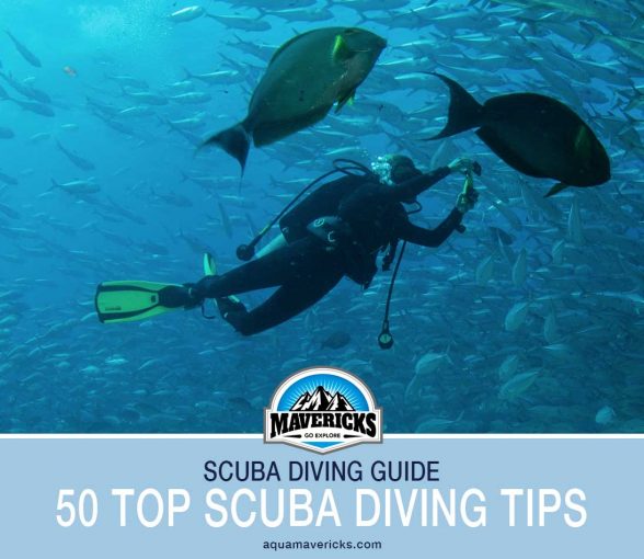 Scuba diving tips for beginners